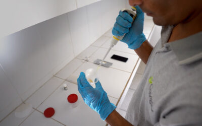 Micotoxinas, cómo enfrentar al enemigo oculto del ganado