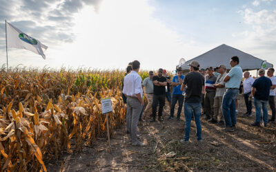 Agregar valor, siempre.